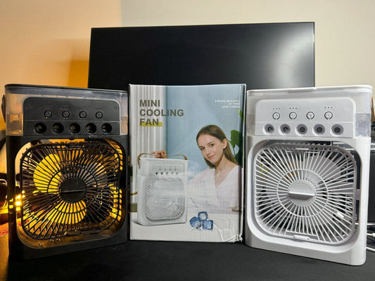 Table Fan with Humidifier